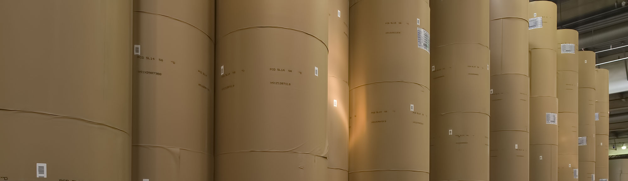 Surface sizing